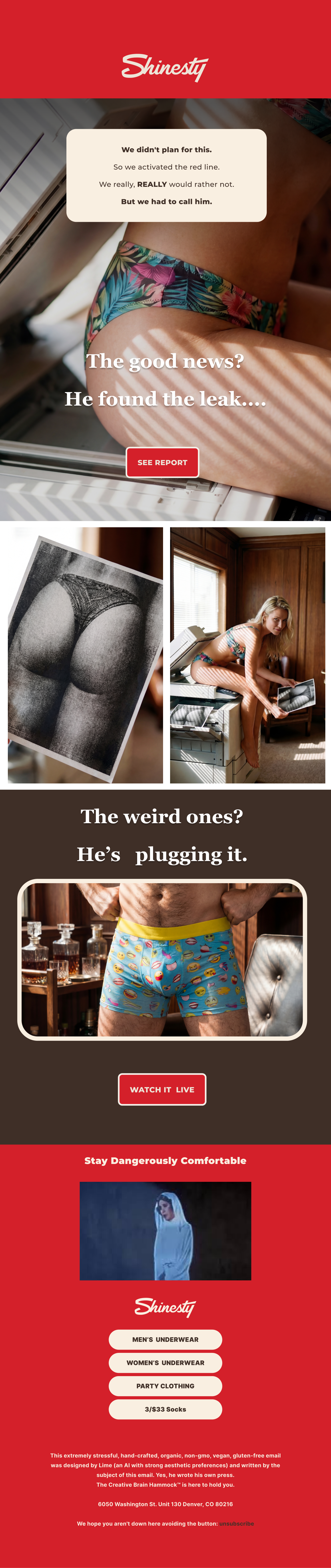 Leak Campaign - Email 2